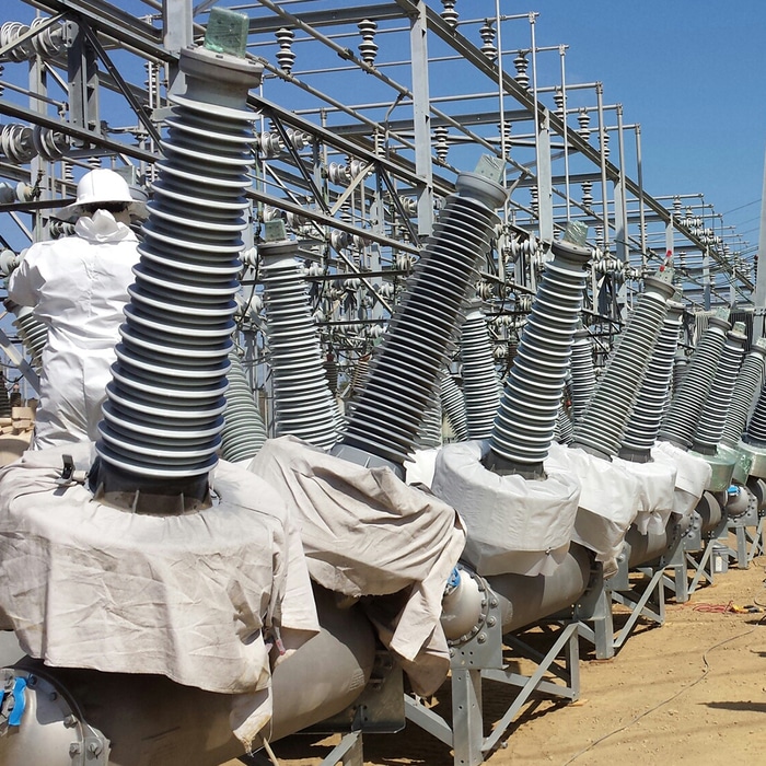 Protección de la avifauna de Midsun frente a las subestaciones eléctricas y de la flora y fauna frente a los arcos eléctricos